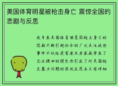 美国体育明星被枪击身亡 震惊全国的悲剧与反思