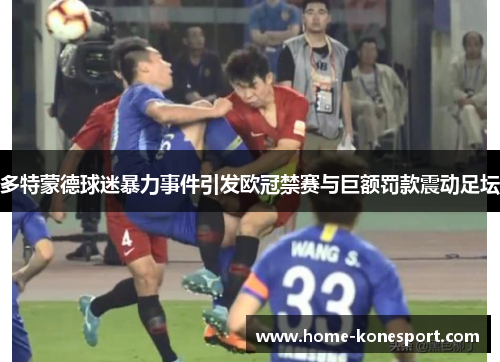 多特蒙德球迷暴力事件引发欧冠禁赛与巨额罚款震动足坛